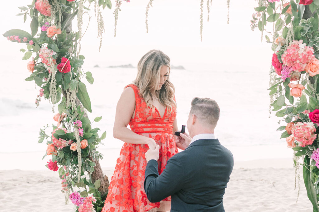 Bay Area wedding photographers capture man getting down on one knee to propose to woman wearing red dress