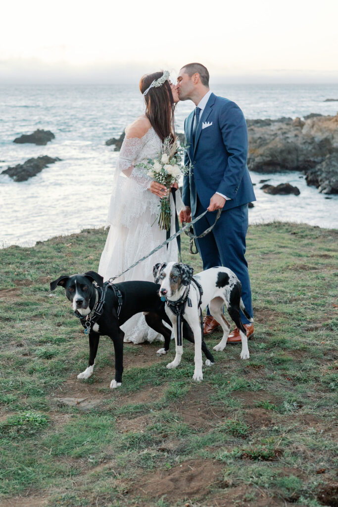 Bay Area photographer captures bride and groom kissing while holding dogs on leashes