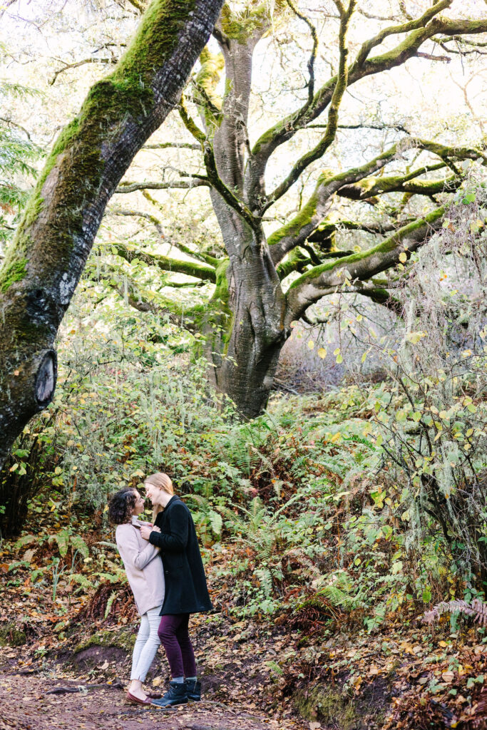 Bay Area photographers capture couple kissing in forest during engagement photos