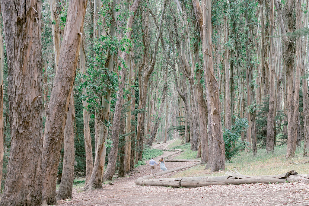 Bay Area wedding photographers capture couple walking through trees at lover's lane at the presido